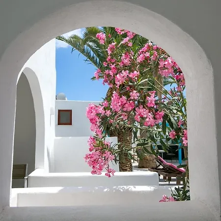 Gardenia Perissa (Santorini)