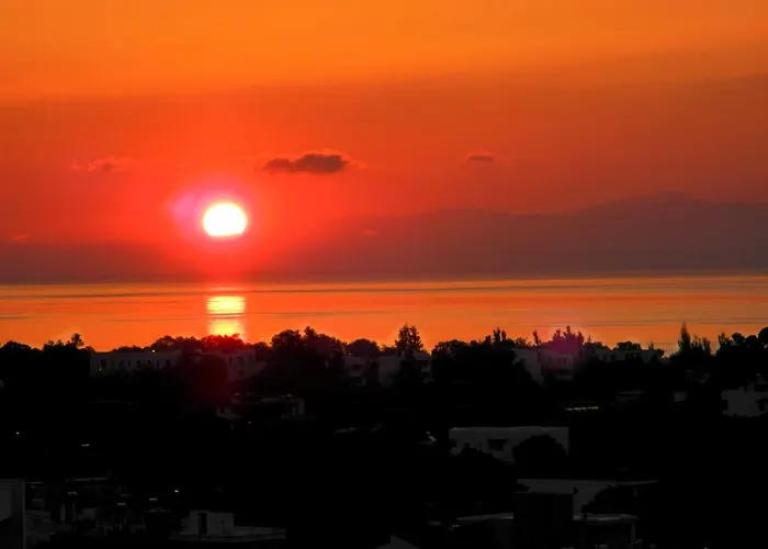 فندق Gardenia بيريسا